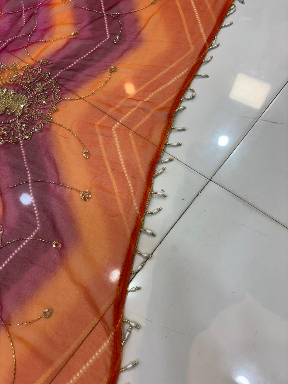 Handwork Darbari Fancy Saree with Real Moti & Diamond Embroidery